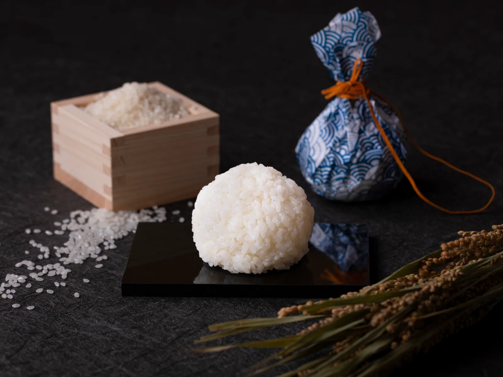 Ultimate Salt Onigiri